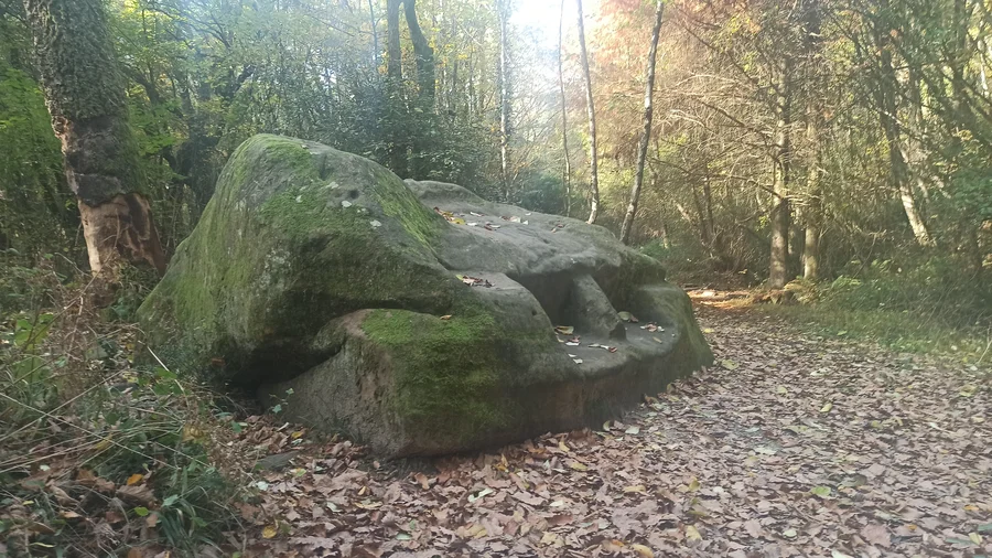 Черкесский камень в Кудепстинском лесопарке