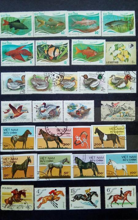 почтовые марки фауна картинки