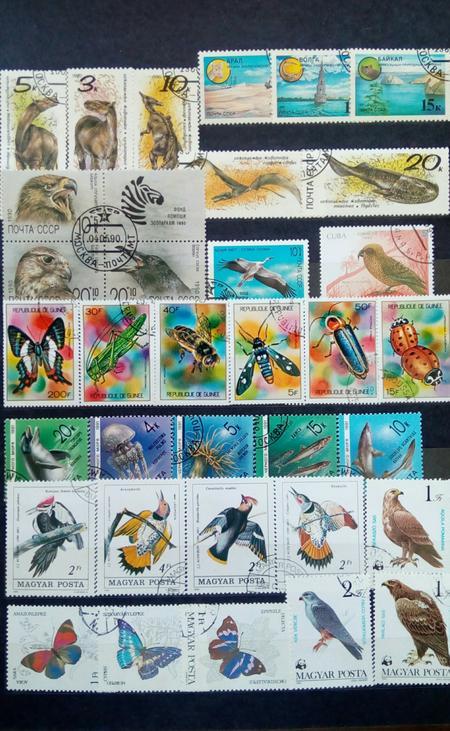 почтовые марки фауна картинки