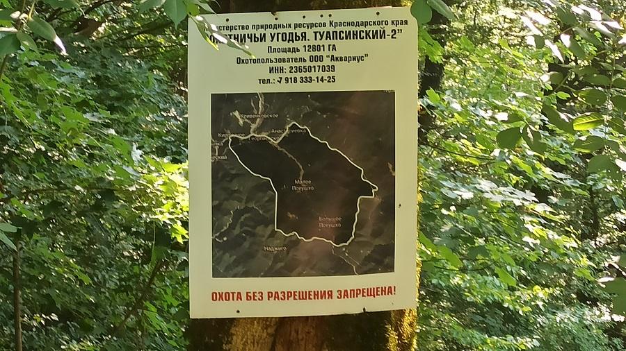 табличка в лесу