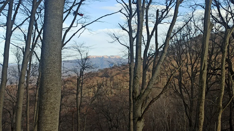Вид с горы Тхихурай 1