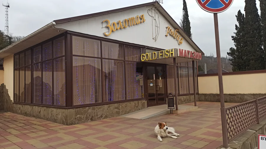 Магазин Золотая рыбка у форелевого хозяйства