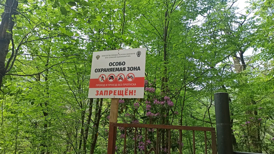 Сочинский национальный парк. Запрещающие таблички по дороге от Трёх ключей к гроту Барибана