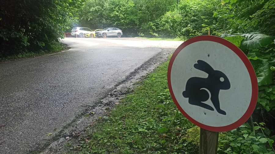 Дорожный знак "Зайцам проход запрещён"